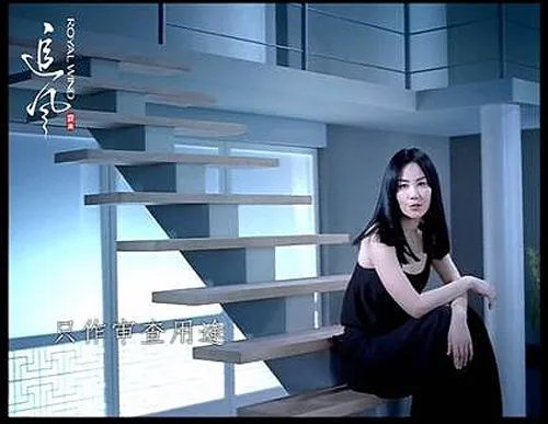 王菲打追风洗发水广告费多少钱？