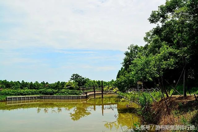 崇明有什么好玩的地方？