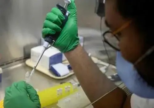 美国纽约州，进入灾难紧急状态！这一次又是什么病毒？