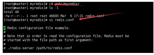 redis安装好了,但redis-cli不能用,就是说$redis-cli回车后没有反应