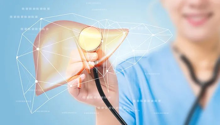 胆汁是由哪个器官分泌出来的 胆汁是什么器官分泌的