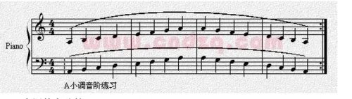 钢琴初学者基本教程