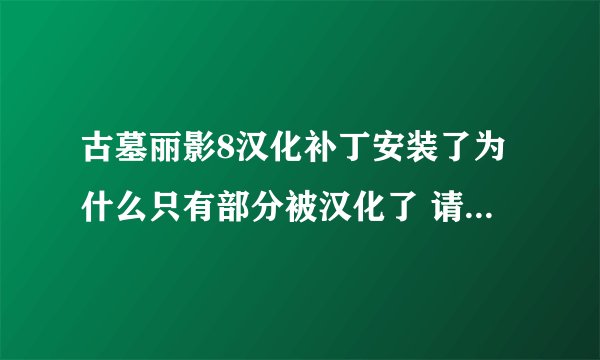 古墓丽影8汉化补丁安装了为什么只有部分被汉化了 请高手指教