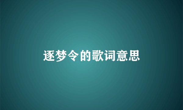 逐梦令的歌词意思