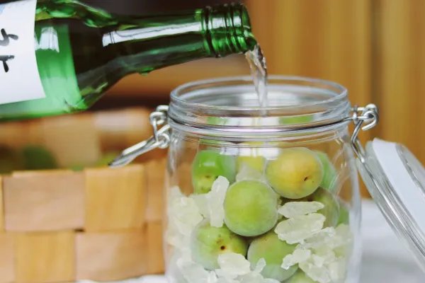 青梅酒的制作方法步骤