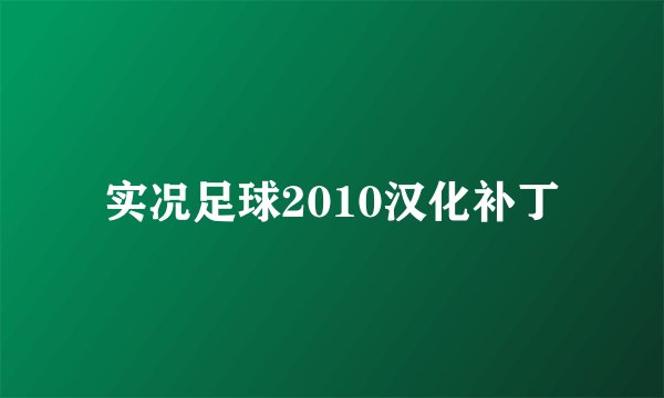 实况足球2010汉化补丁