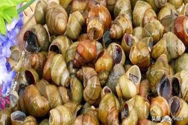 吃田螺变绿，田螺怎么洗干净？