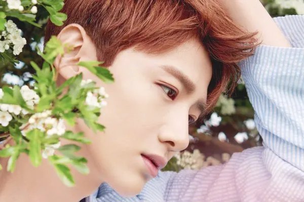 白敬亭称我觉得我不是帅哥，你赞同他的说法吗？