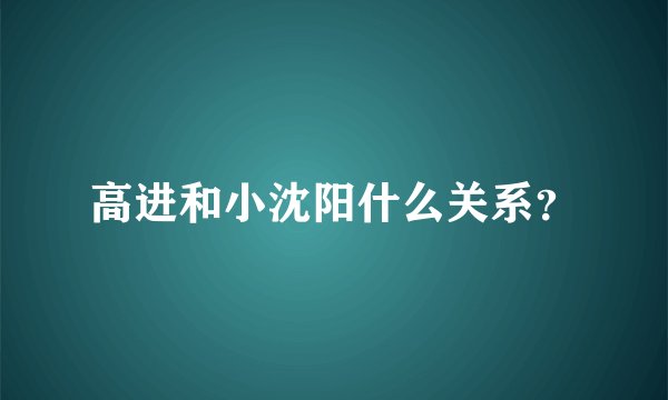 高进和小沈阳什么关系？
