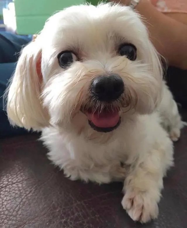 俄罗斯的通灵节目是真的吗？