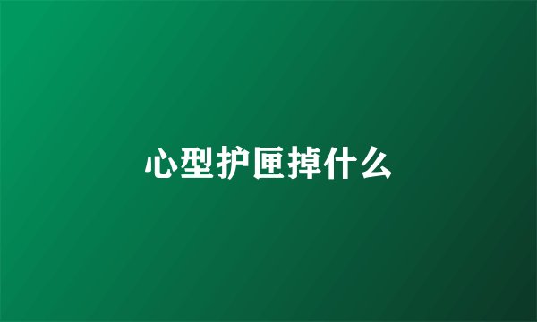 心型护匣掉什么