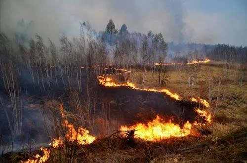 西昌特大火灾致死19名消防员调查结果公布，被追责人员有哪些？