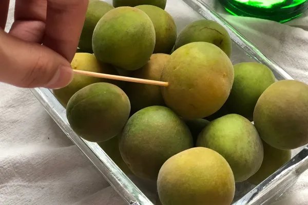 青梅酒的制作方法步骤