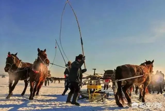 去看吉林查干湖冬捕的南方游客多吗？