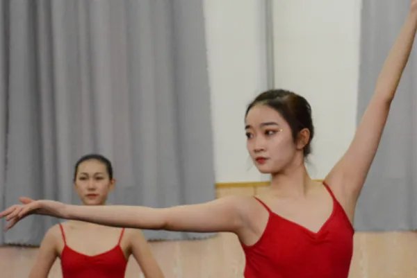 艺考文化课培训前十