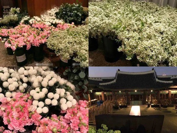 双宋CP婚礼会场满布什么花？