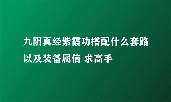 九阴真经紫霞功搭配什么套路以及装备属信 求高手
