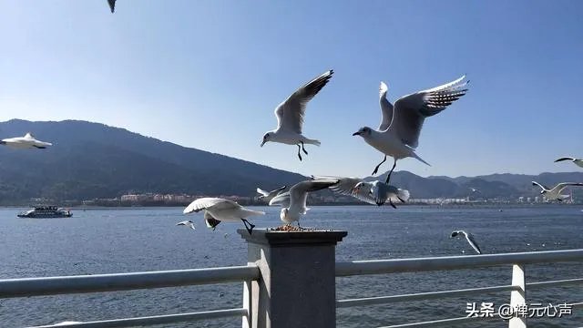 2021年的春节你是怎么过的？