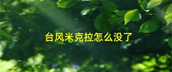 台风米克拉怎么没了