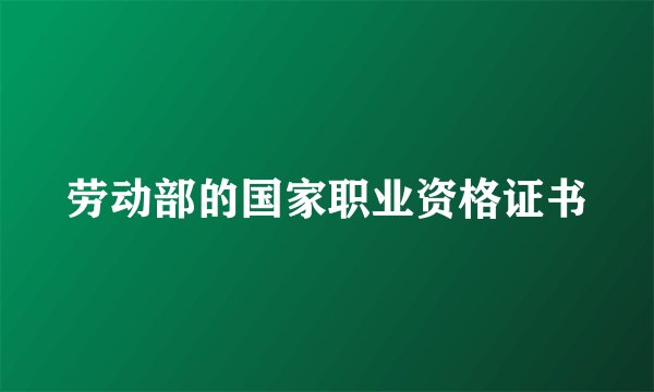 劳动部的国家职业资格证书