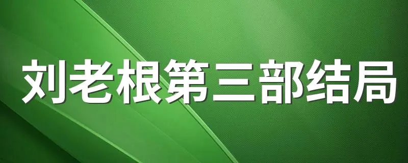 刘老根第三部结局 来看精彩的部分
