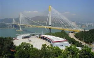 下列树种中,适合作为西北地区防风沙树种的有______个。