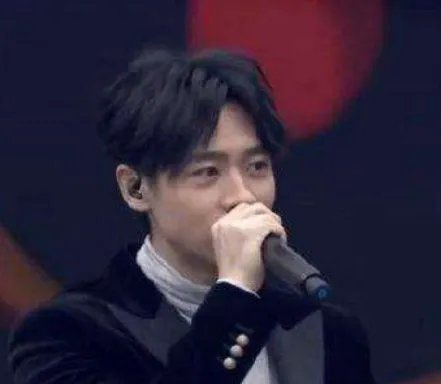 魏晨是在什么情况下说专业的歌手不假唱呢？