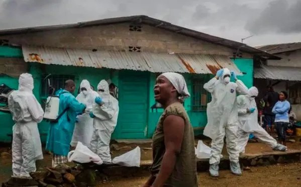 埃博拉有多恐怖，致死性到底怎么样？