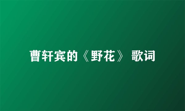 曹轩宾的《野花》 歌词