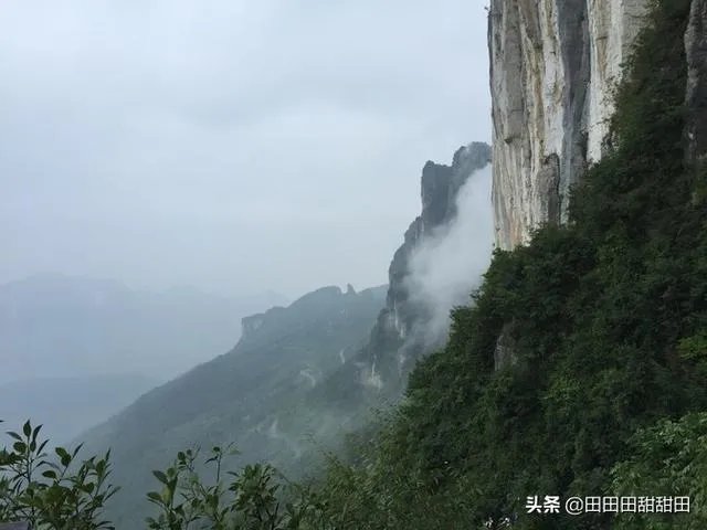 天涯何处无芳草和天涯何处觅知音的意思有什么不同?