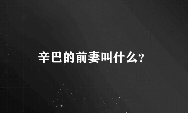 辛巴的前妻叫什么？