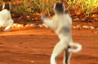 为什么有些溺水死亡的人被人拉上来胳膊和腿都是卷曲着的？