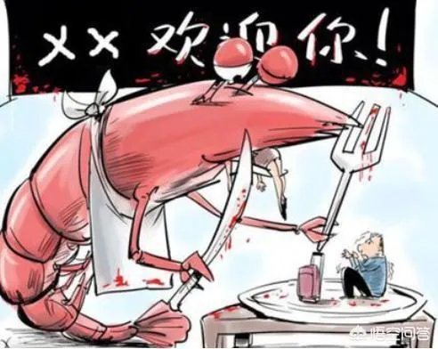 青岛再现天价海鲜一只鱼竟然500元,为何这种现象还会再出现?