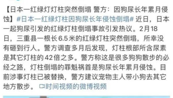 上海宠物犬小区路灯杆旁撒尿触电死亡，主人向物业索赔5万，这合理吗？