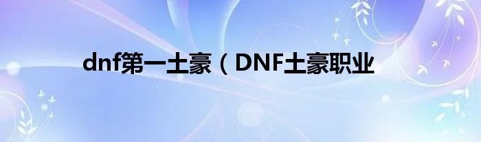 dnf第一土豪（DNF土豪职业
