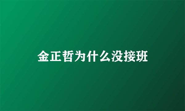 金正哲为什么没接班