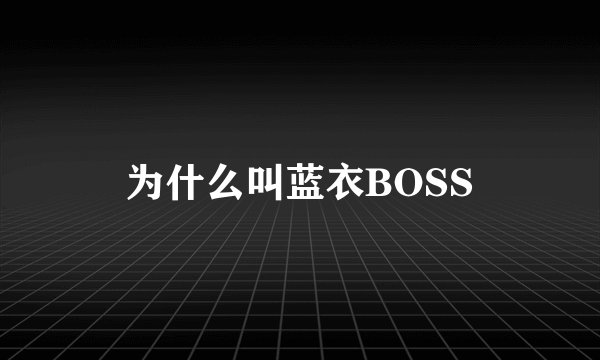 为什么叫蓝衣BOSS