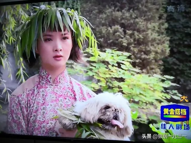 王宝强的母亲去世了，为什么媒体铺天盖地的报道？