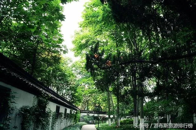 崇明有什么好玩的地方？