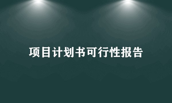项目计划书可行性报告