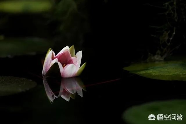 最近桂林跟团,导游发飙强制游客一小时消费2万,大家怎么看?