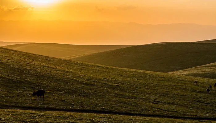 2020伊利旅游攻略 伊犁旅游攻略路线