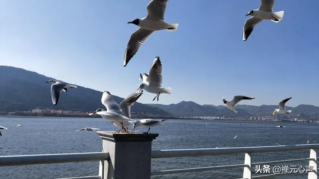 2021年的春节你是怎么过的？