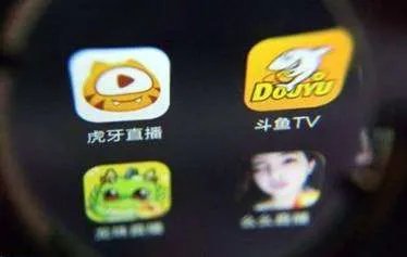 全国政协委员建议公示逃税主播名单,这能帮助规范直播行业吗?