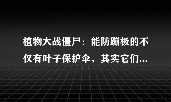 植物大战僵尸：能防蹦极的不仅有叶子保护伞，其实它们也可以！