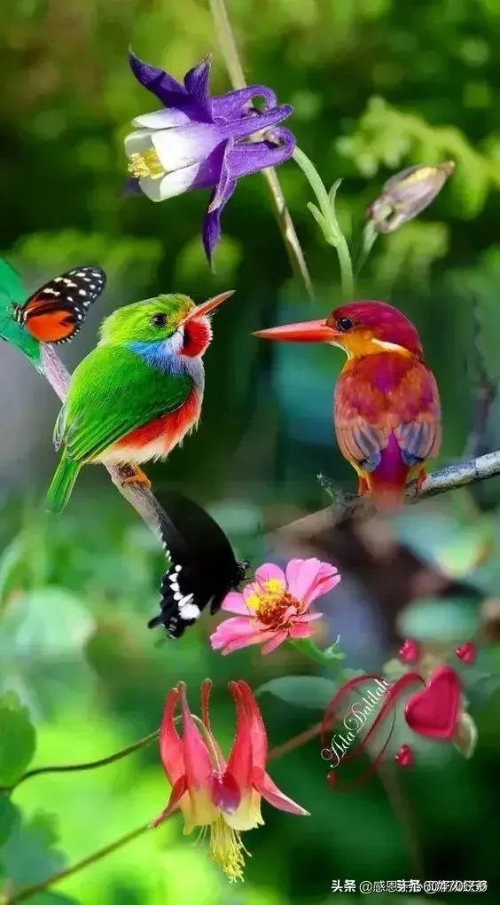 你最想看到的美国疫情的最新情况是什么？