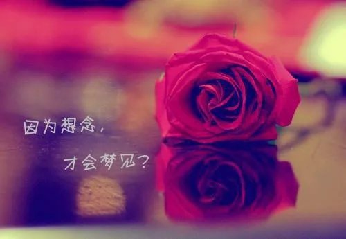 三生有幸我爱你苏梨落于时皓 三生有幸我爱你小说全文阅读