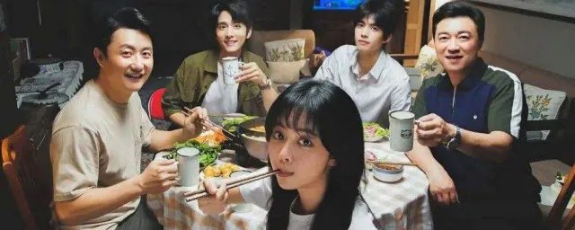 电视剧以家人之名多少集