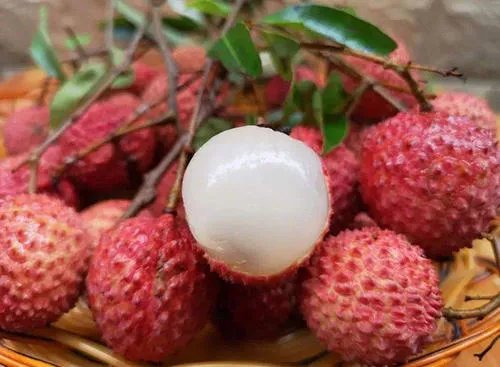 连吃大量荔枝有中毒乃至死亡风险，可爱的荔枝是如何变成杀手的？