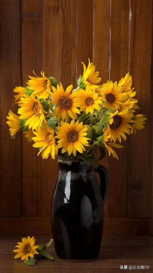 黑龙江还有可能爆发疫情吗？